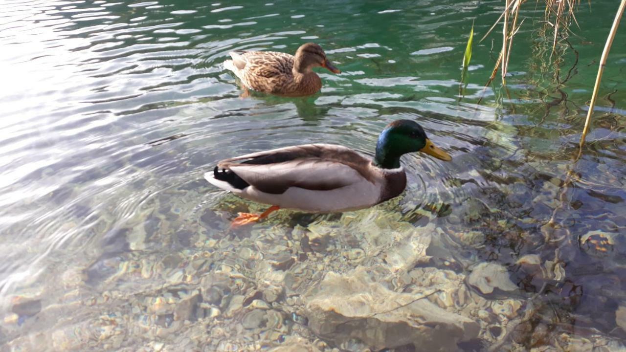 Vacation House Home, Plitvice Lakes National Park Plitvička Jezera 外观 照片