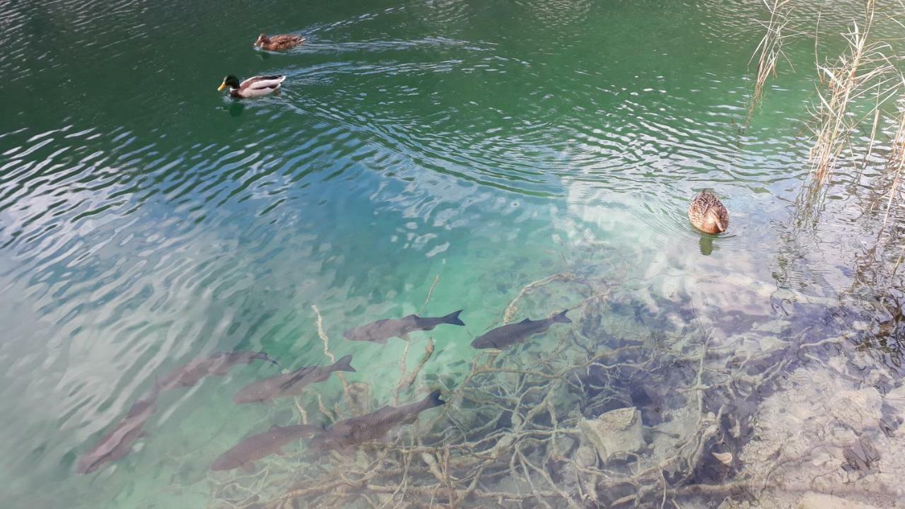 Vacation House Home, Plitvice Lakes National Park Plitvička Jezera 外观 照片